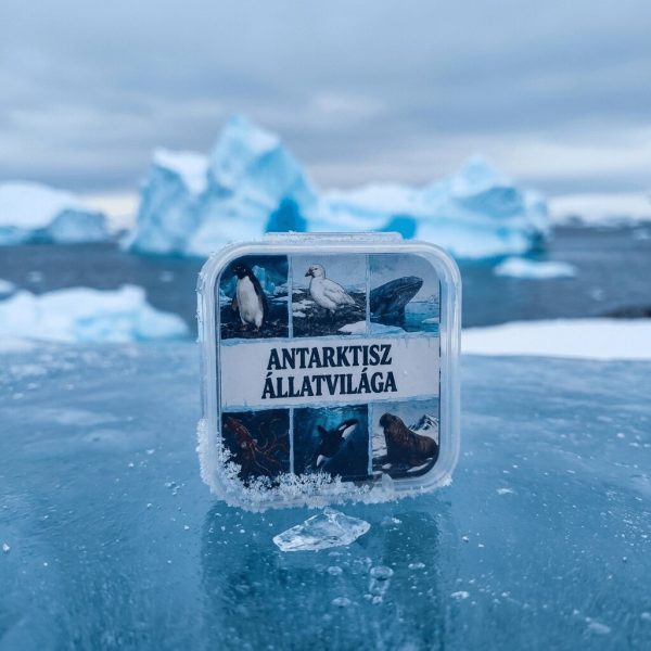 UnlockMyMind – Interaktív, utazó társasjáték – Antarktisz állatvilága